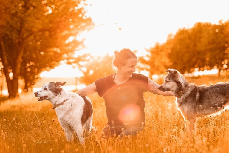 Foto: EquiCanisGrafie|Maike Wick Bild von mir und meinen Hündinnen in der Abendsonne